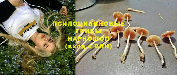 крисы Балахна