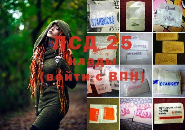 крисы Балахна