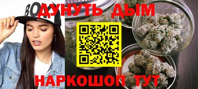 сатива Будённовск