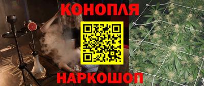 сатива Будённовск