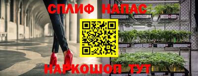 наркотики Будённовск