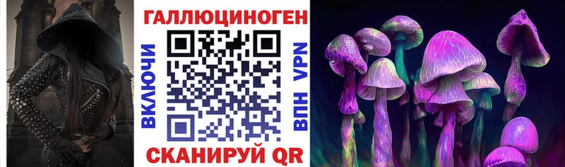 MEGA ТОР  Вятские Поляны  Галлюциногенные грибы Psilocybe 