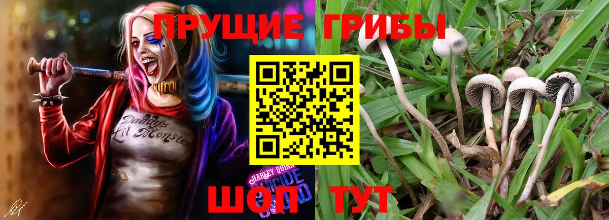 Псилоцибиновые грибы прущие грибы  Вход с VPN  цены наркотик  Вятские Поляны  Галлюциногенные грибы ЛСД 