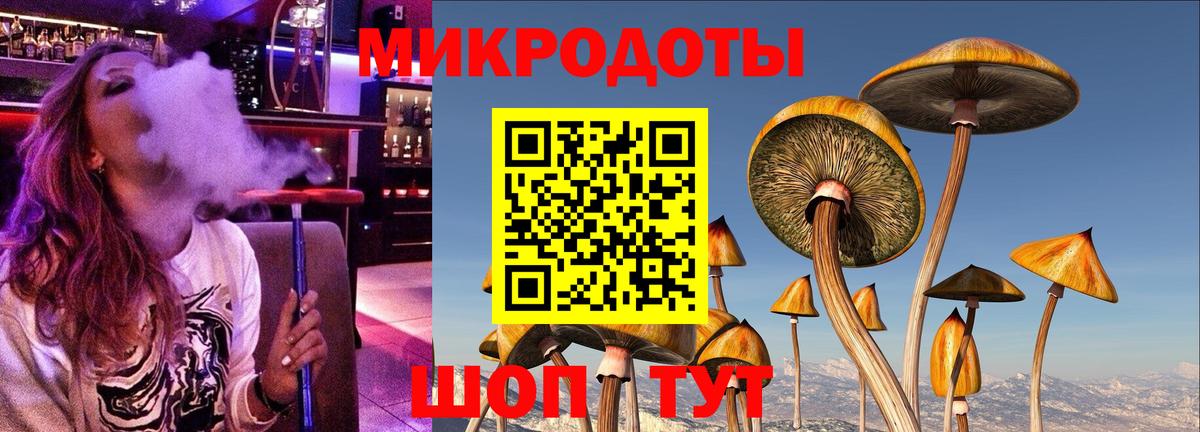 Псилоцибиновые грибы мухоморы Вятские Поляны